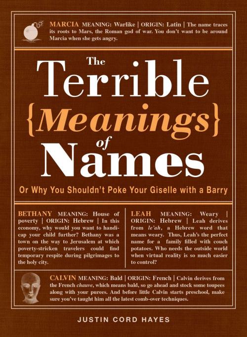 Cover of the book The Terrible Meanings of Names by Justin Cord Hayes, Adams Media