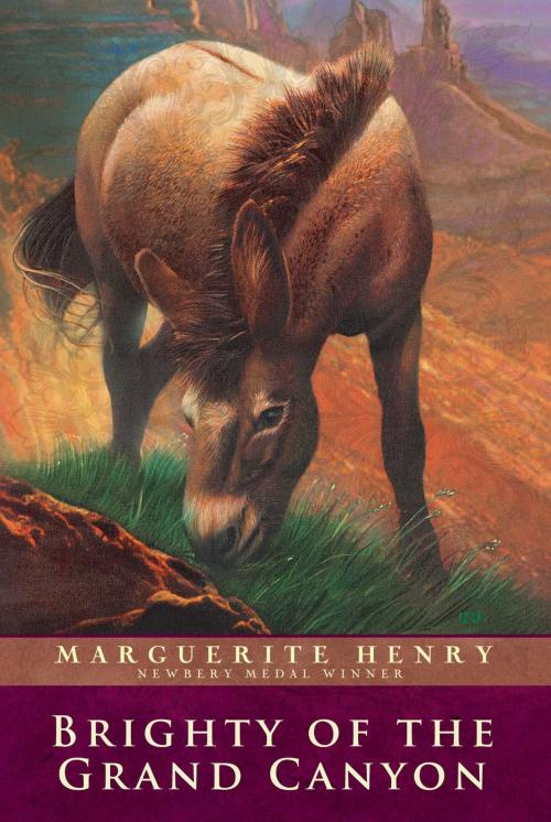 Cover of the book Brighty of the Grand Canyon by Marguerite Henry, Aladdin
