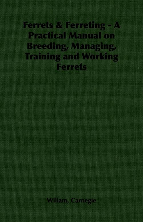 Cover of the book Ferrets & Ferreting - A Practical Manual on Breeding, Managing, Training and Working Ferrets by Wiliam Carnegie, Read Books Ltd.