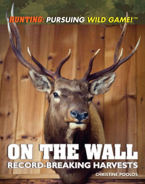 Cover of the book On the Wall by Christine Poolos, The Rosen Publishing Group, Inc