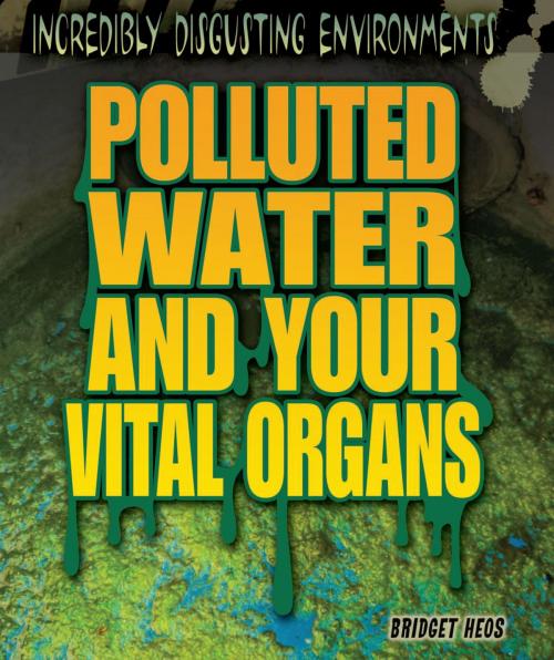 Cover of the book Polluted Water and Your Vital Organs by Bridget Heos, The Rosen Publishing Group, Inc