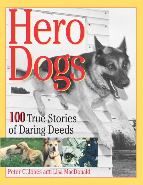 Cover of the book Hero Dogs by Peter C. Jones, Andrews McMeel Publishing, LLC