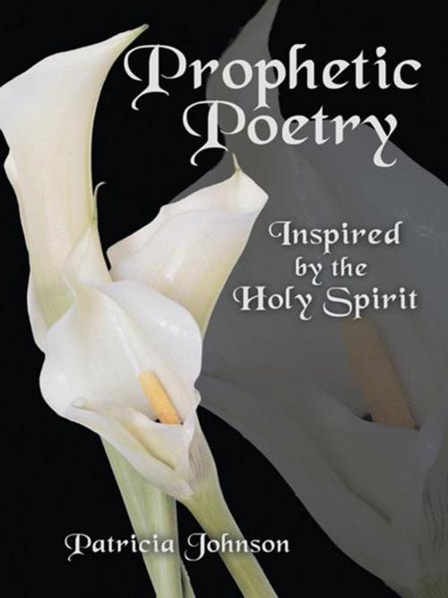 Cover of the book Prophetic Poetry by Patricia Johnson, WestBow Press