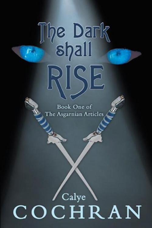 Cover of the book The Dark Shall Rise by Calye Cochran, WestBow Press