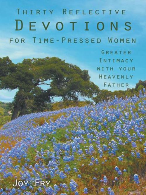 Cover of the book Thirty Reflective Devotions for Time-Pressed Women by Joy Fry, WestBow Press
