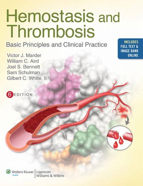 Cover of the book Hemostasis and Thrombosis by Victor J. Marder, William C. Aird, Joel S. Bennett, Sam Schulman, Gilbert C. White, II, Wolters Kluwer Health