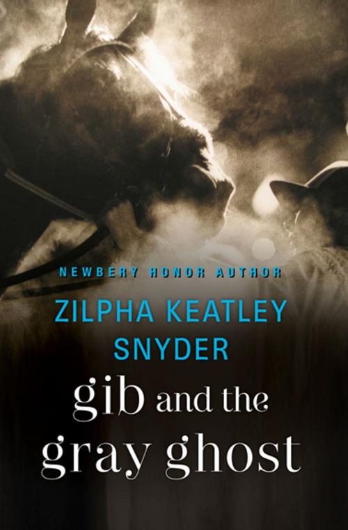 Cover of the book Gib and the Gray Ghost by Zilpha Keatley Snyder, Open Road Media