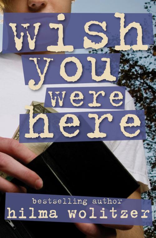 Cover of the book Wish You Were Here by Hilma Wolitzer, Open Road Media