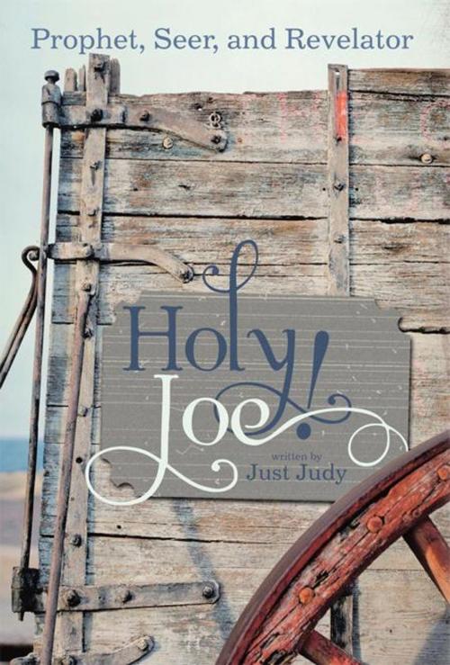 Cover of the book Holy Joe! by Just Judy, Abbott Press