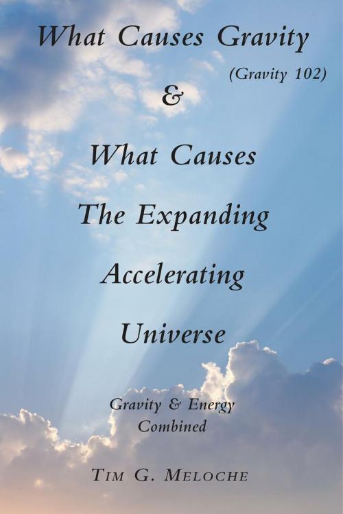 Cover of the book What Causes Gravity by Tim G. Meloche, FriesenPress