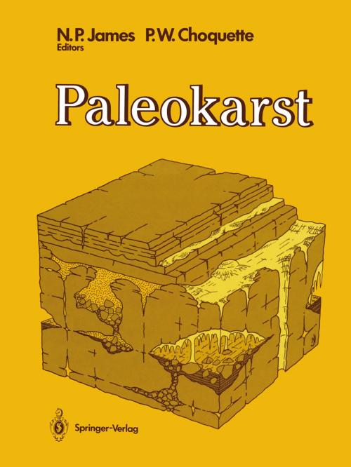 Cover of the book Paleokarst by , Springer New York
