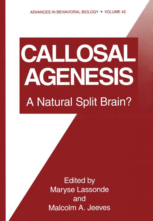 Cover of the book Callosal Agenesis by , Springer US