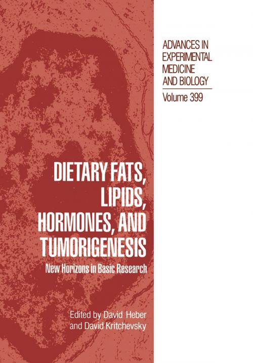 Cover of the book Dietary Fats, Lipids, Hormones, and Tumorigenesis by , Springer US