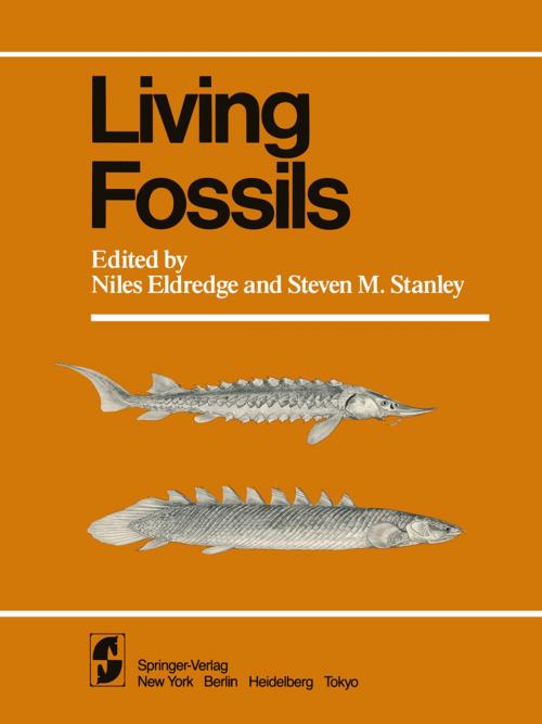 Cover of the book Living Fossils by , Springer New York