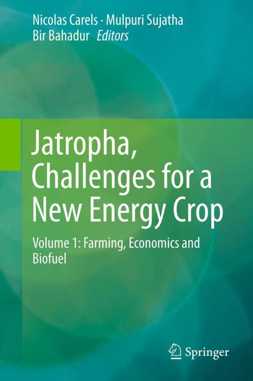 Cover of the book Jatropha, Challenges for a New Energy Crop by , Springer New York