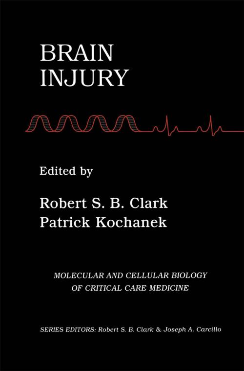 Cover of the book Brain Injury by , Springer US