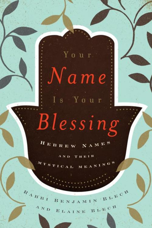 Cover of the book Your Name Is Your Blessing by Benjamin Rabbi Blech, Elaine Blech, Jason Aronson, Inc.