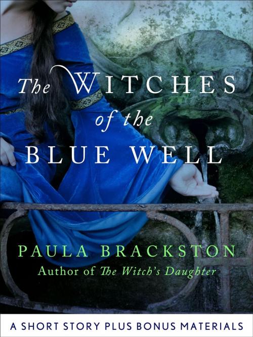 Cover of the book The Witches of the Blue Well by Paula Brackston, St. Martin's Press