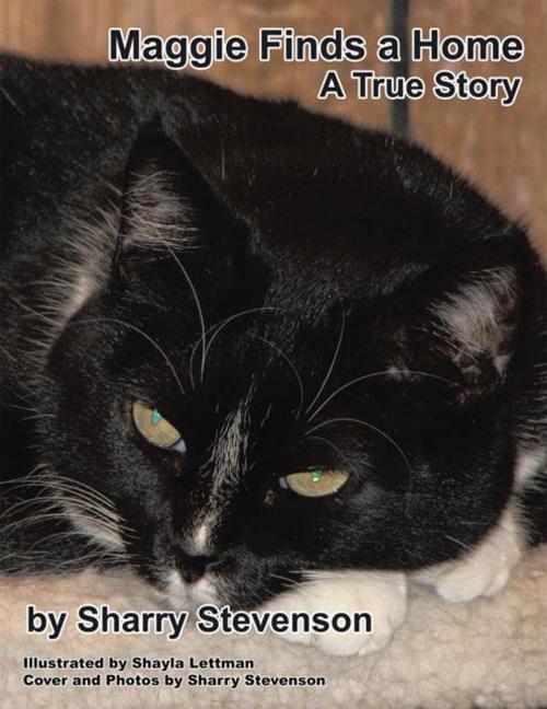 Cover of the book Maggie Finds a Home by Sharry Stevenson, Trafford Publishing