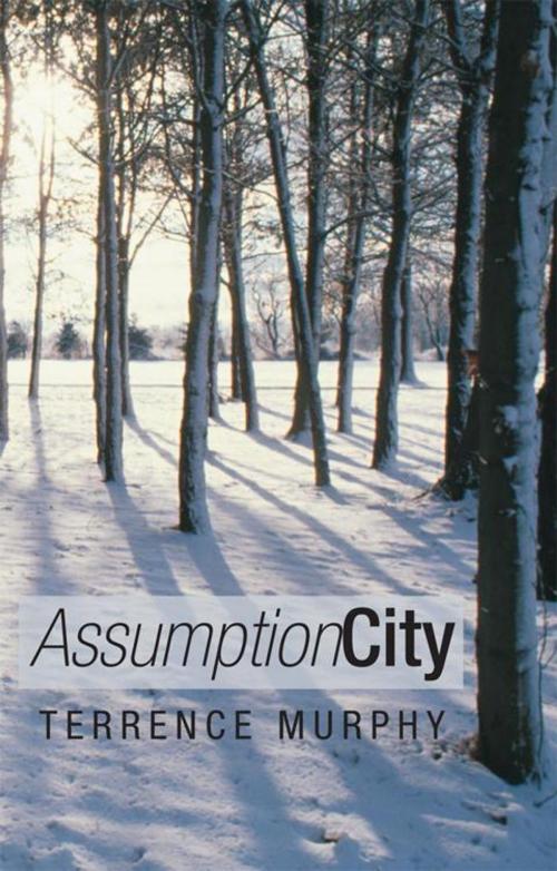 Cover of the book Assumption City by Terrence Murphy, iUniverse