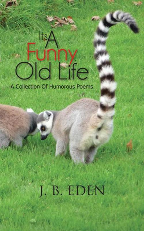 Cover of the book Its a Funny Old Life by J. B. Eden, AuthorHouse UK