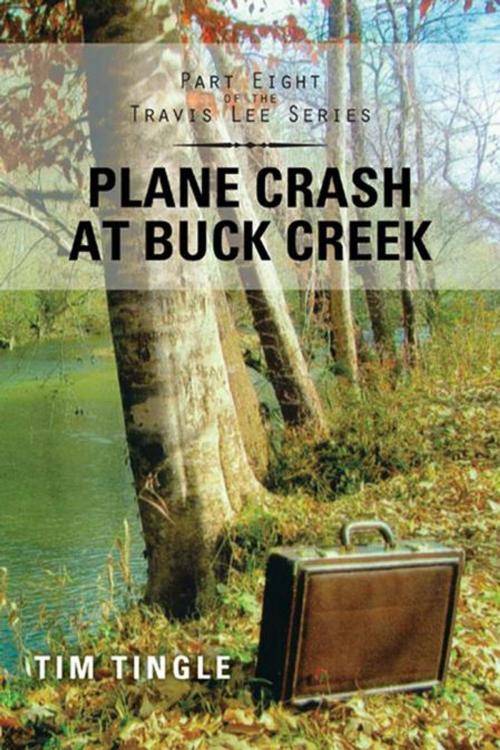 Cover of the book Plane Crash at Buck Creek by Tim Tingle, AuthorHouse