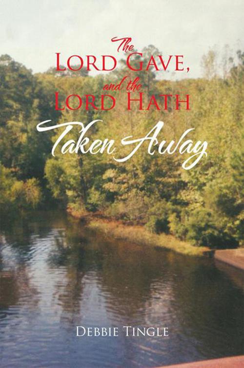 Cover of the book The Lord Gave, and the Lord Hath Taken Away by Debbie Tingle, Xlibris US