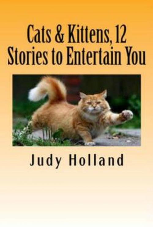Cover of the book Cats & Kittens, 12 Stories to Entertain You! by Judy Holland, Vince Stead