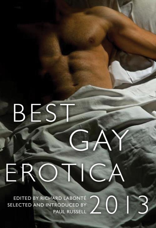 Cover of the book Best Gay Erotica 2013 by , Cleis Press