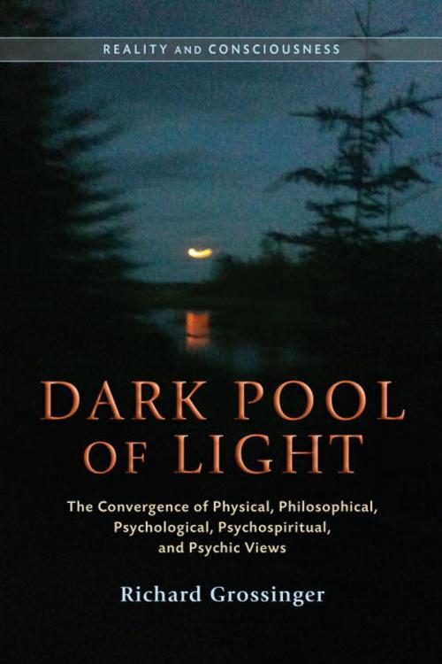 Cover of the book Dark Pool of Light 3 Volume Set by Richard Grossinger, North Atlantic Books