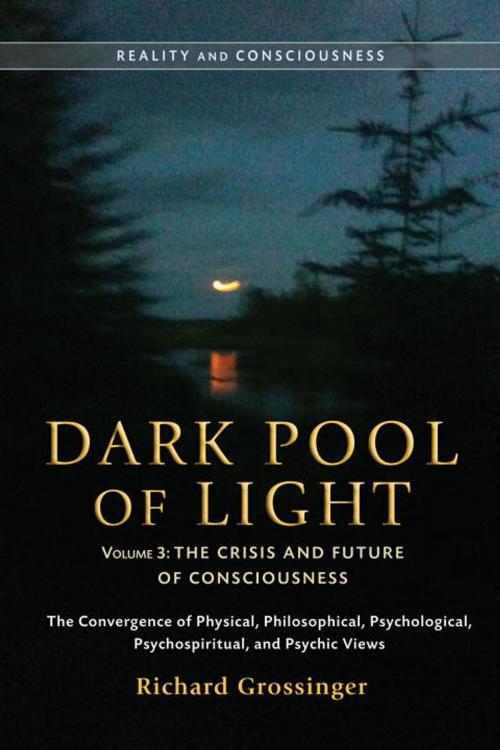Cover of the book Dark Pool of Light, Volume Three by Richard Grossinger, North Atlantic Books