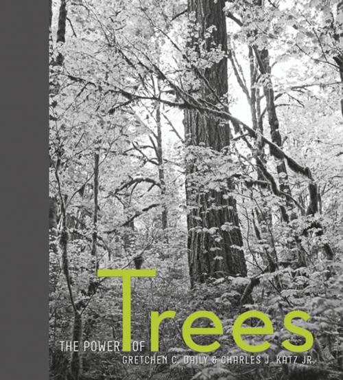 Cover of the book The Power of Trees by Gretchen Daily, Trinity University Press