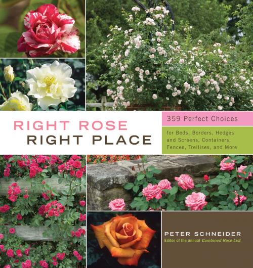 Cover of the book Right Rose, Right Place by Peter Schneider, Storey Publishing, LLC