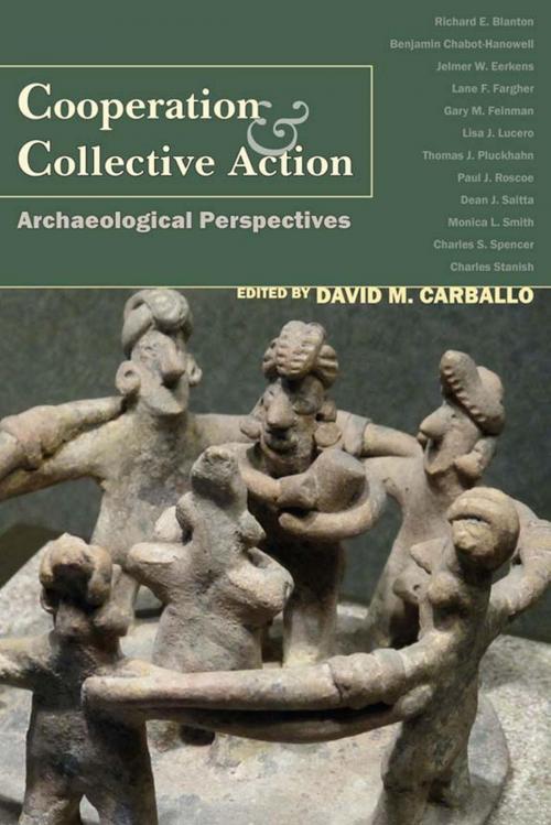 Cover of the book Cooperation and Collective Action by , University Press of Colorado