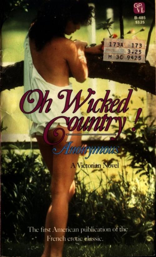 Cover of the book Oh Wicked Country by Anon Anonymous, Disruptive Publishing
