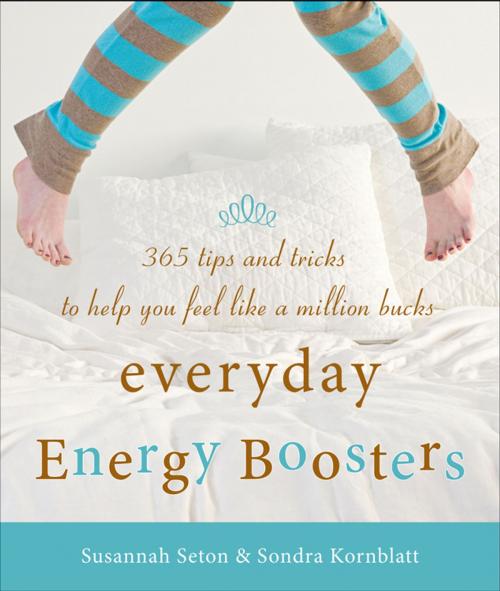 Cover of the book Everyday Energy Boosters by Sondra Kornblatt, Susannah Seton, Red Wheel Weiser