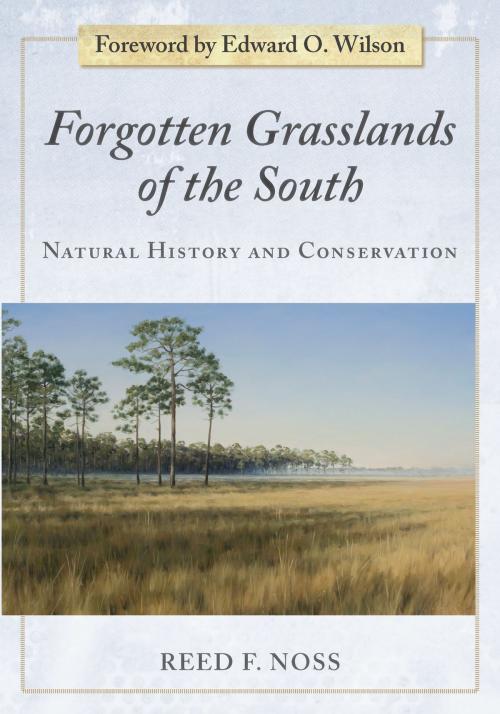 Cover of the book Forgotten Grasslands of the South by Reed F. Noss, Island Press