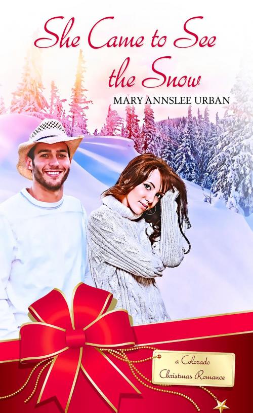 Cover of the book She Came to See the Snow by Mary Annslee Urban, Pelican Book Group