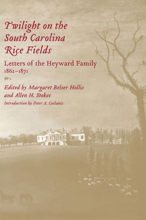 Cover of the book Twilight on the South Carolina Rice Fields by , University of South Carolina Press