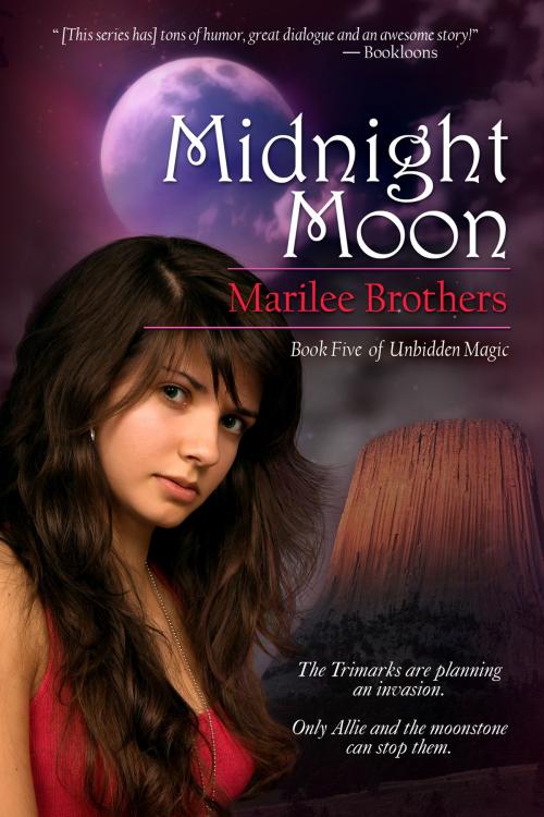 Cover of the book Midnight Moon by Marilee Brothers, BelleBooks, Inc.
