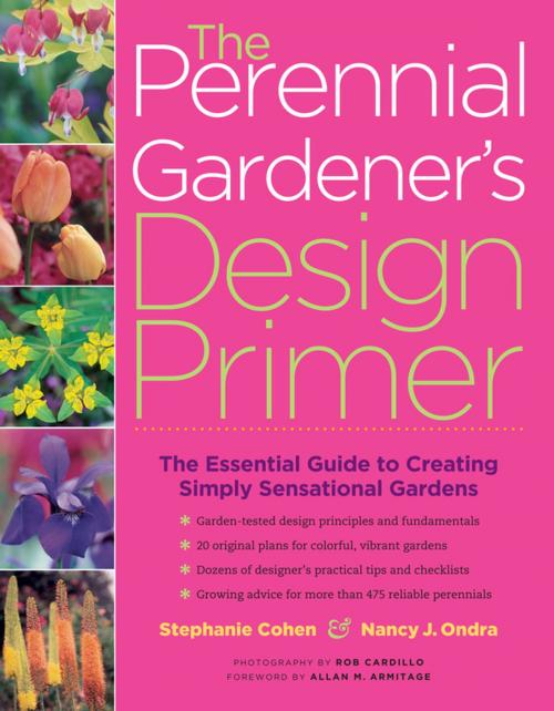 Cover of the book The Perennial Gardener's Design Primer by Stephanie Cohen, Nancy J. Ondra, Storey Publishing, LLC