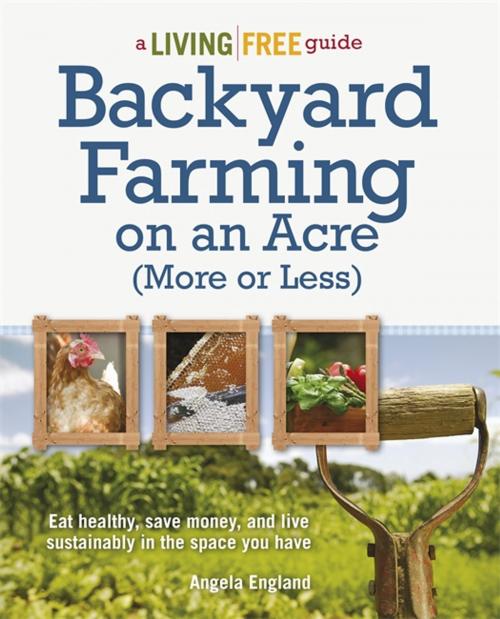 Cover of the book Backyard Farming on an Acre (More or Less) by Angela England, DK Publishing