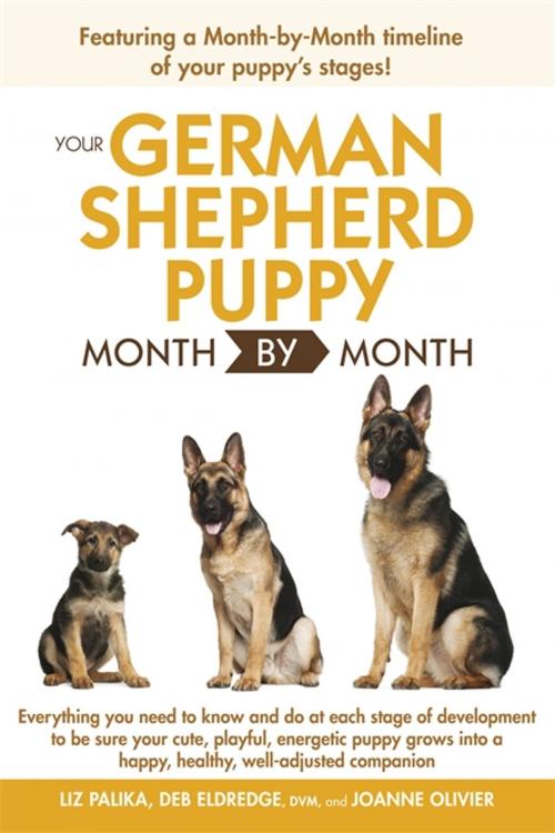 Cover of the book Your German Shepherd Puppy Month by Month, 2nd Edition by Liz Palika, Debra Eldredge DVM, DK Publishing