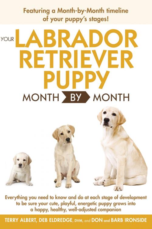 Cover of the book Your Labrador Retriever Puppy Month By Month by Terry Albert, Debra Eldredge DVM, DK Publishing