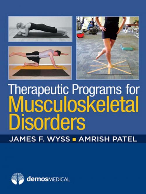 Cover of the book Therapeutic Programs for Musculoskeletal Disorders by James Wyss, MD, MPT, Springer Publishing Company