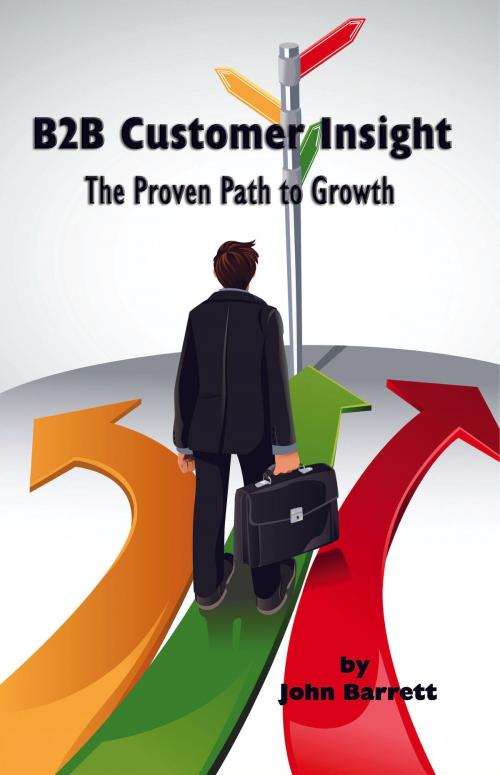 Cover of the book B2B Customer Insight by John Barrett, Information Age Publishing