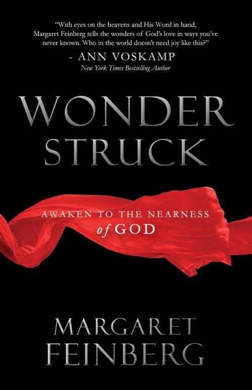 Cover of the book Wonderstruck by Margaret Feinberg, Worthy