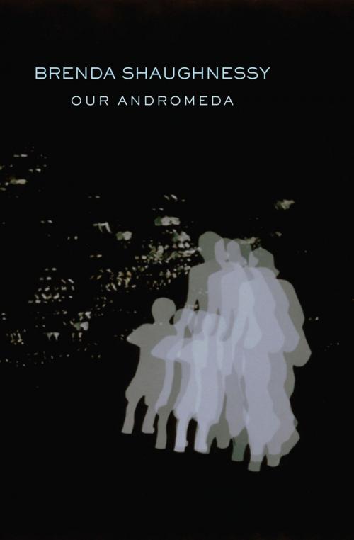 Cover of the book Our Andromeda by Brenda Shaughnessy, Copper Canyon Press