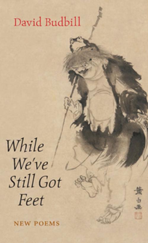 Cover of the book While We've Still Got Feet by David Budbill, Copper Canyon Press