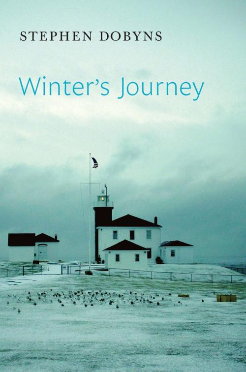 Cover of the book Winter's Journey by Stephen Dobyns, Copper Canyon Press